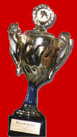 Pokal